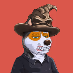Shibe #1586