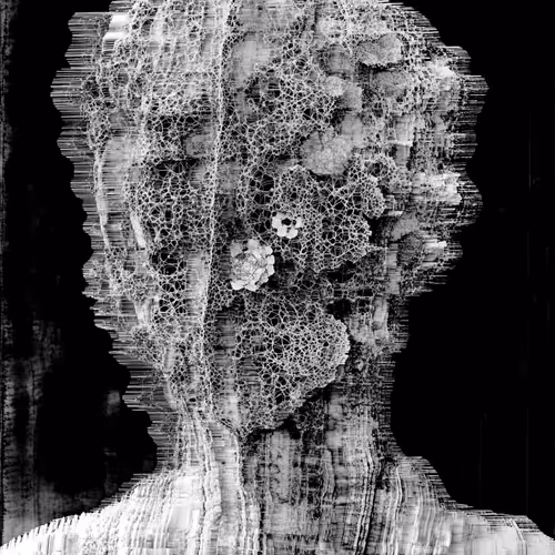 Metaessence