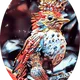 JEWEL BIRD