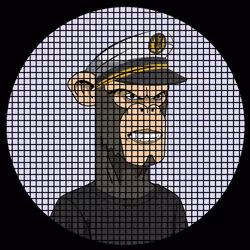 567