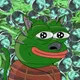 Pepe Cat #498