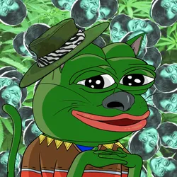 Pepe Cat #1617