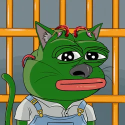 Pepe Cat #2625