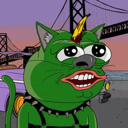 Pepe Cat #423