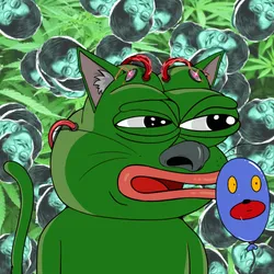 Pepe Cat #1926