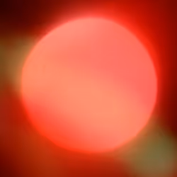 233