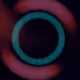 221