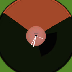56