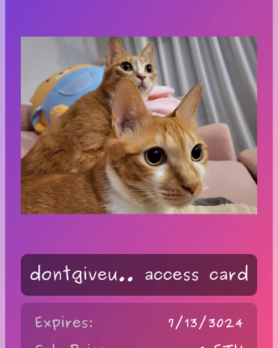 dontgiveup club card