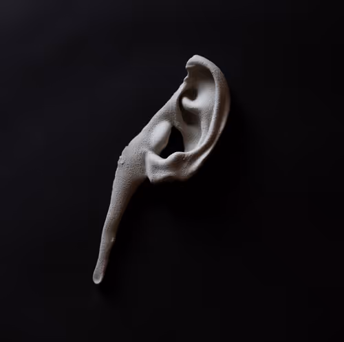 Item #15 Media