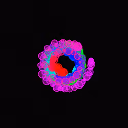 0736