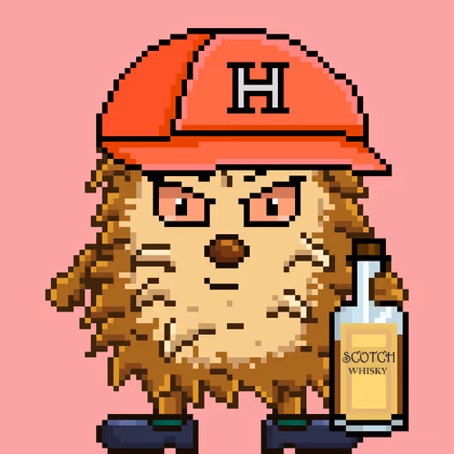Haggis Base 2025