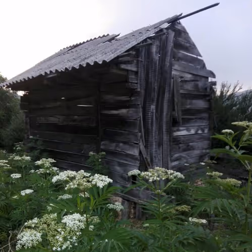 Cozy cottage