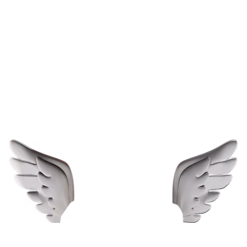 yt wings