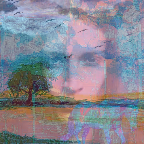 Reflections In A Dreamscape