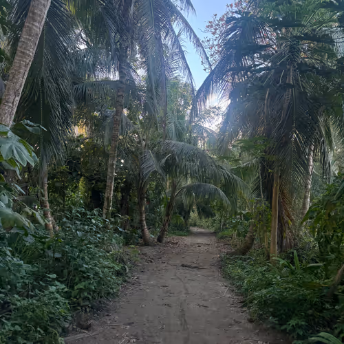 🌴
