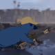 Sleeper Agent Pidgey