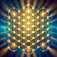 The True Flower of Life