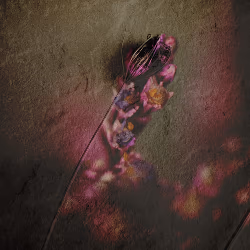 Reaching For Hope 2