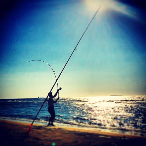 Surf Casting Surf Fishing