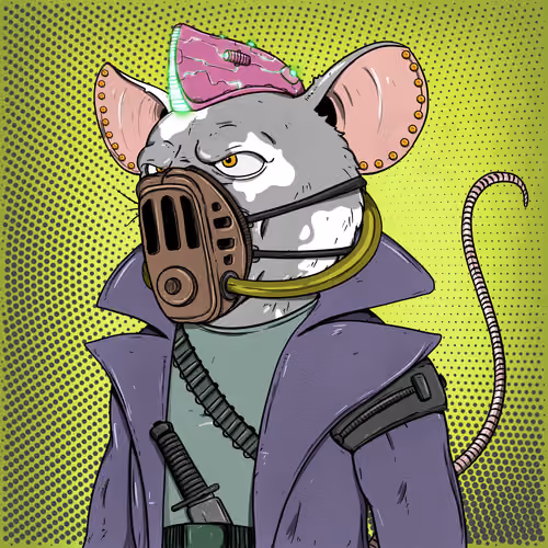 Rat #2082