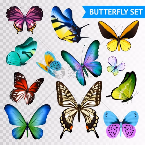 MaryWatson68580 - Member