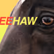 Rodeo posts