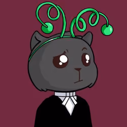 Kitty Base