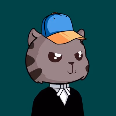 Kitty Base