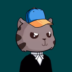 Kitty Base
