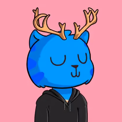 Kitty Base