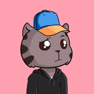 Kitty Base