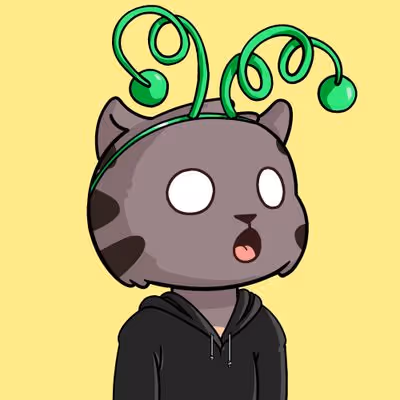 Kitty Base