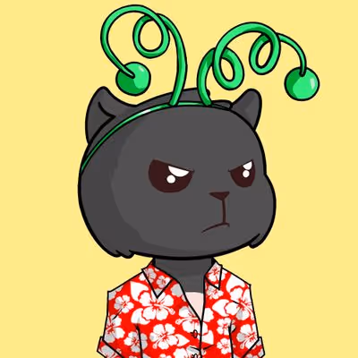 Kitty Base