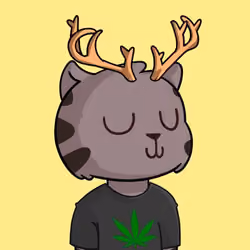 Kitty Base
