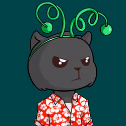 Kitty Base