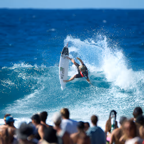 SURF