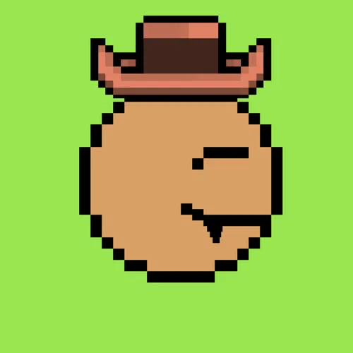 Pacpac 1