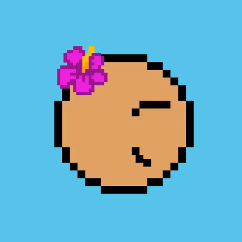 Pacpac 1