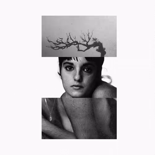 Логотип Rodeo Posts 10080
