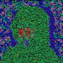 Item Media