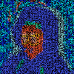 Click ASCII by 0xsh#4115