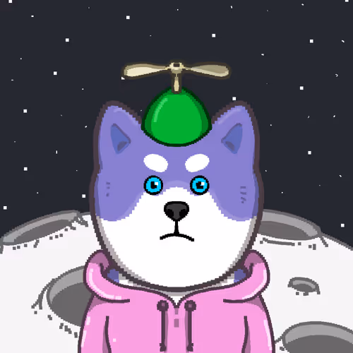 Shiba #6511