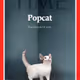 Pop Cat Time Magazine  