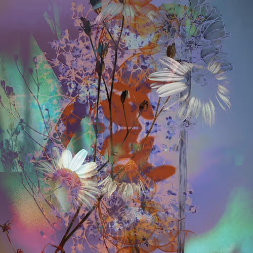 Discombobulated 1