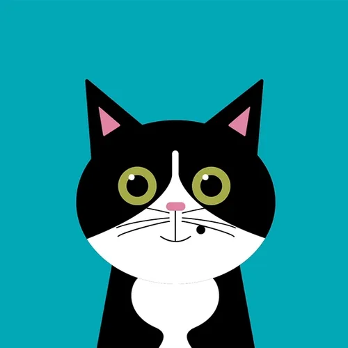 Blackcat