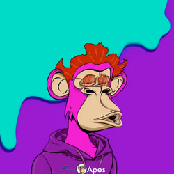 Apes Degen