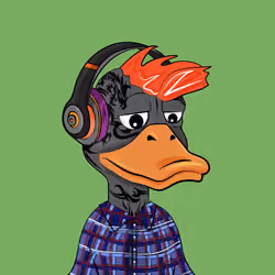 Slacker Duck #1188