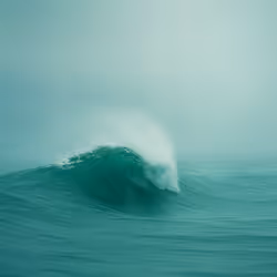 161