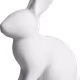 DarkRabbit